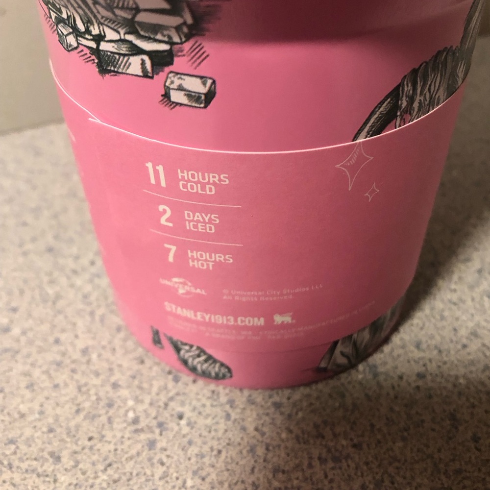 Target x Stanley Wicked For Good Quencher Tumbler 40 Oz Ozian Reprise IN HAND - Picture 6 of 8